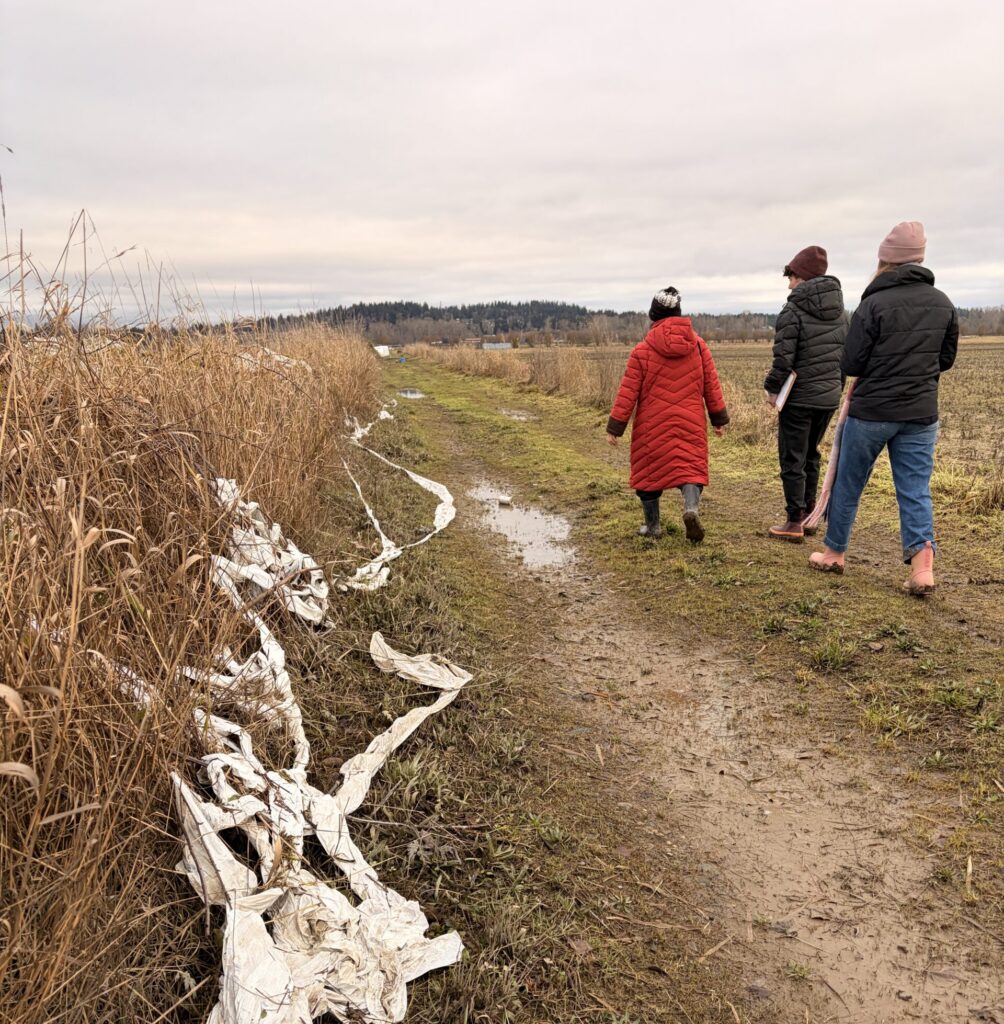 farmer walks alongside her flooded property in Snohomish County.